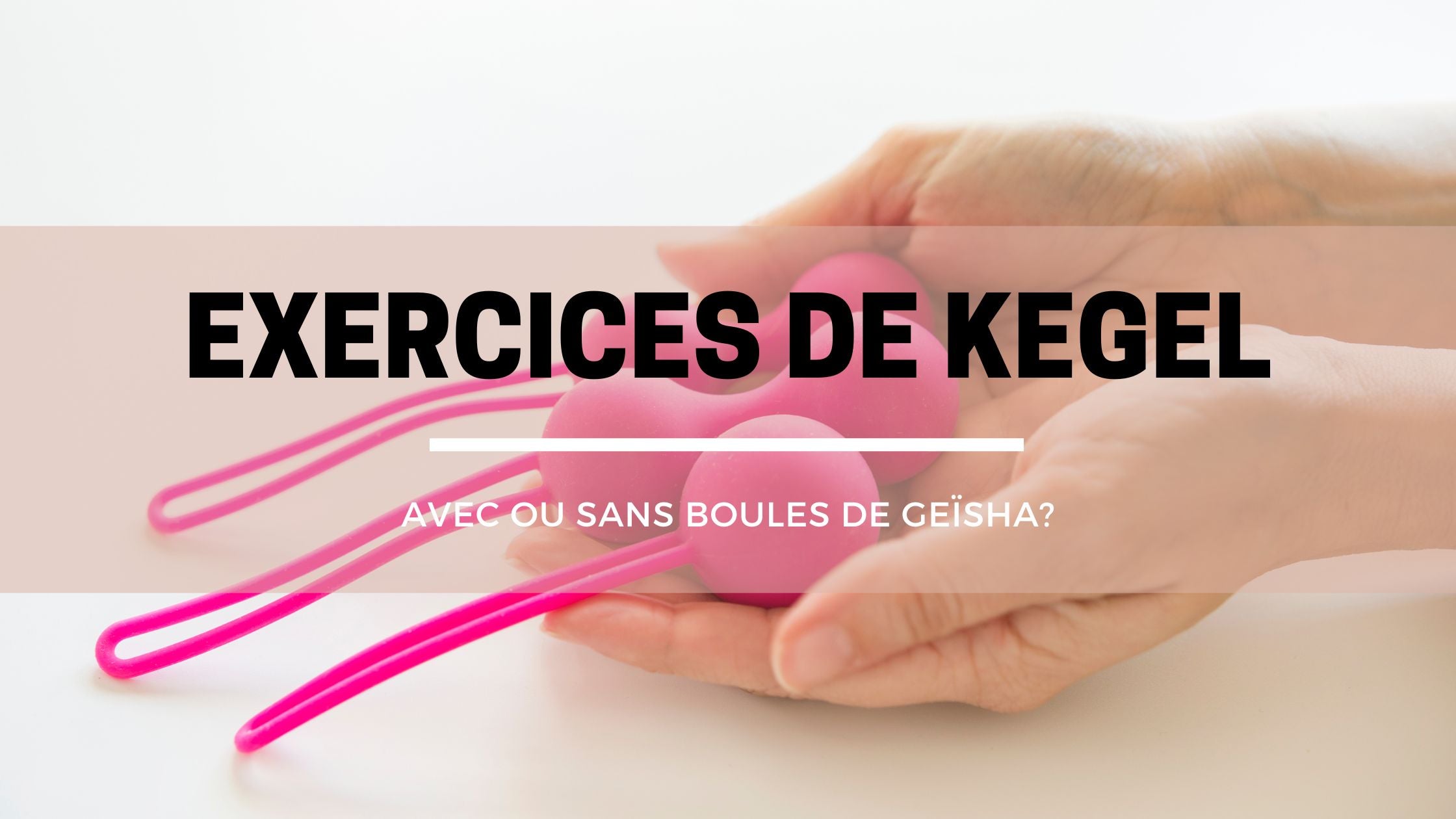SOLUTION: Muscles de la hanche et de la cuisse SOLUTION: Muscles de la hanche et de la cuisse