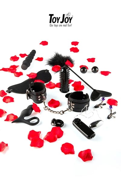 Coffret sextoys 11 accessoires initiation BDSM soft en couple - ToyJoy