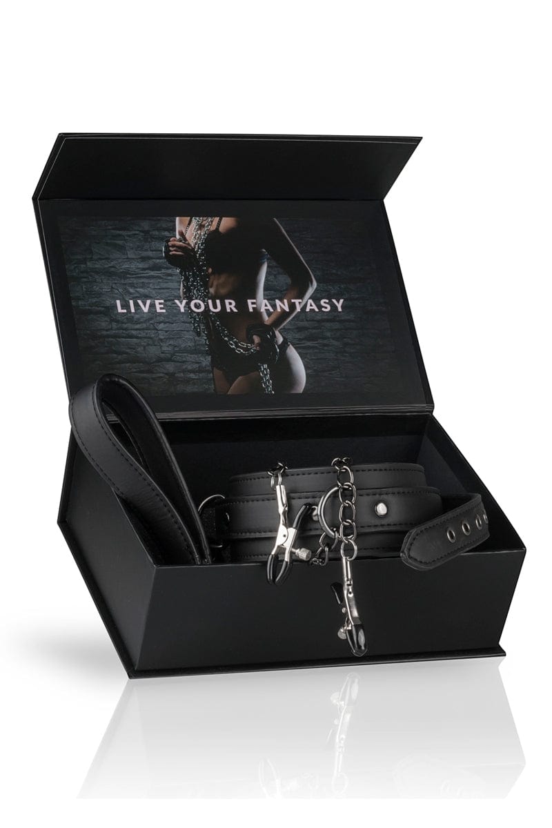 Collier BDSM en faux cuir avec pinces à seins reliées - Easytoys Fetish Collection