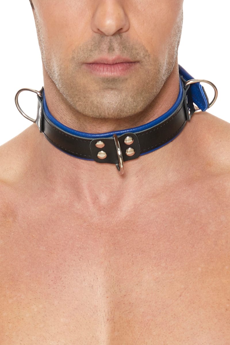bdsm collier en cuir noir et bleu pour homme