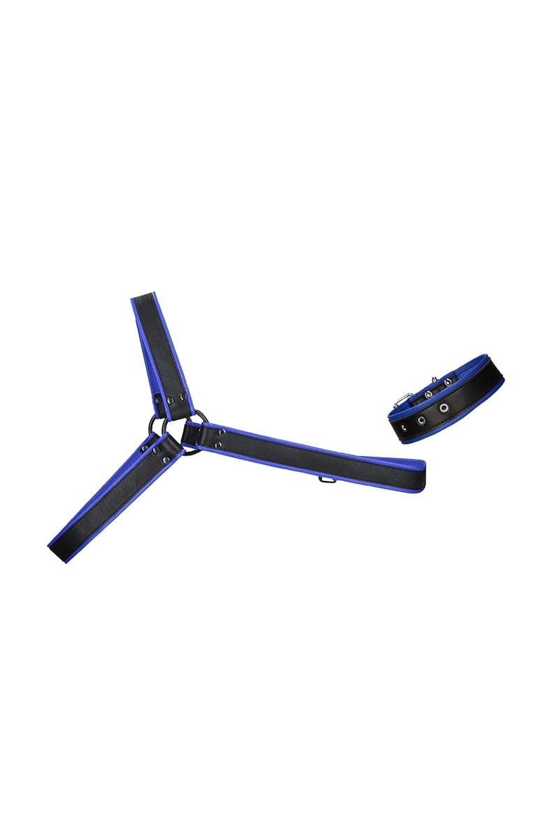 Harnais pour homme accessoire bdsm réglable Gladiator bleu et noir - Ouch!