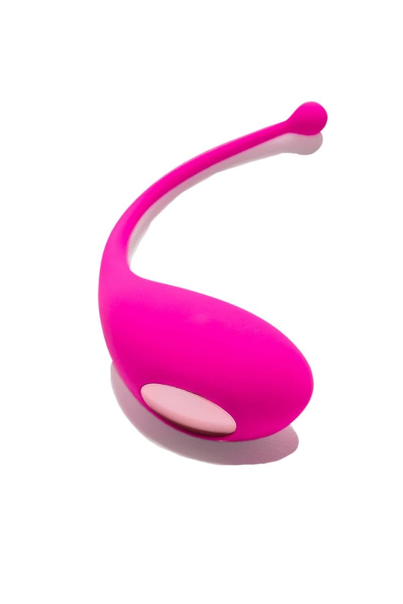 Oeuf vibrant 9 modes connecté rechargeable Palpitation - Adrien Lastic