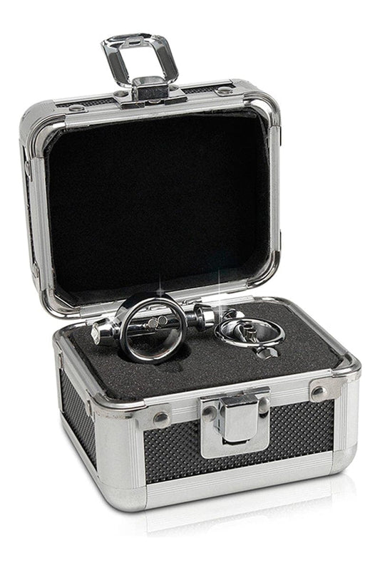 Paire de pinces à mamelon en acier aimants magnétiques - Pipedream