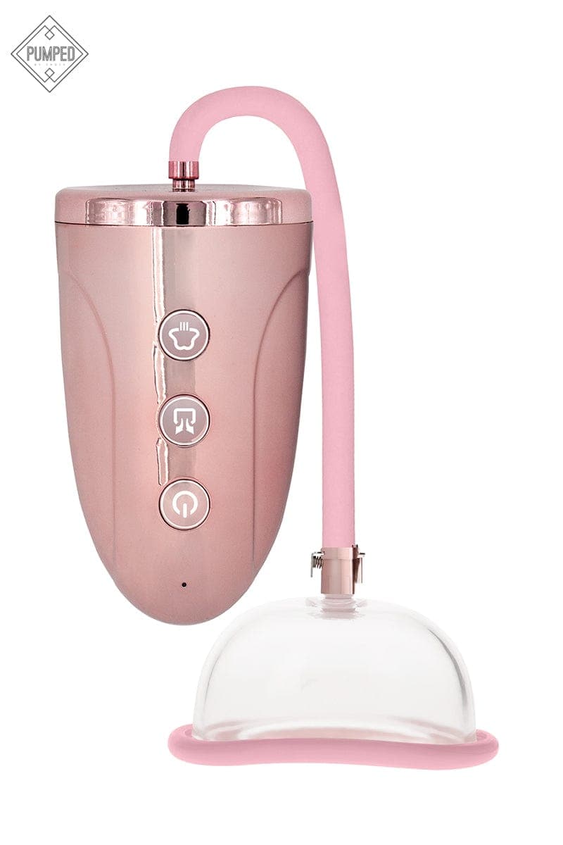 Pompe à vagin manuelle rechargeable 3 vitesses de succion intense - Pumped