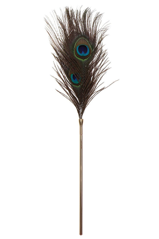 Luxueux plumeau à caresses Peacock Tickler - Taboom