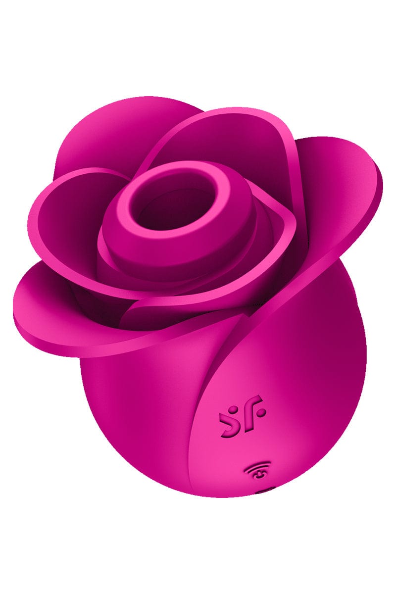 Stimulateur clitoridien rose Satisfyer Pro 2 Modern Blossom - Satisfyer