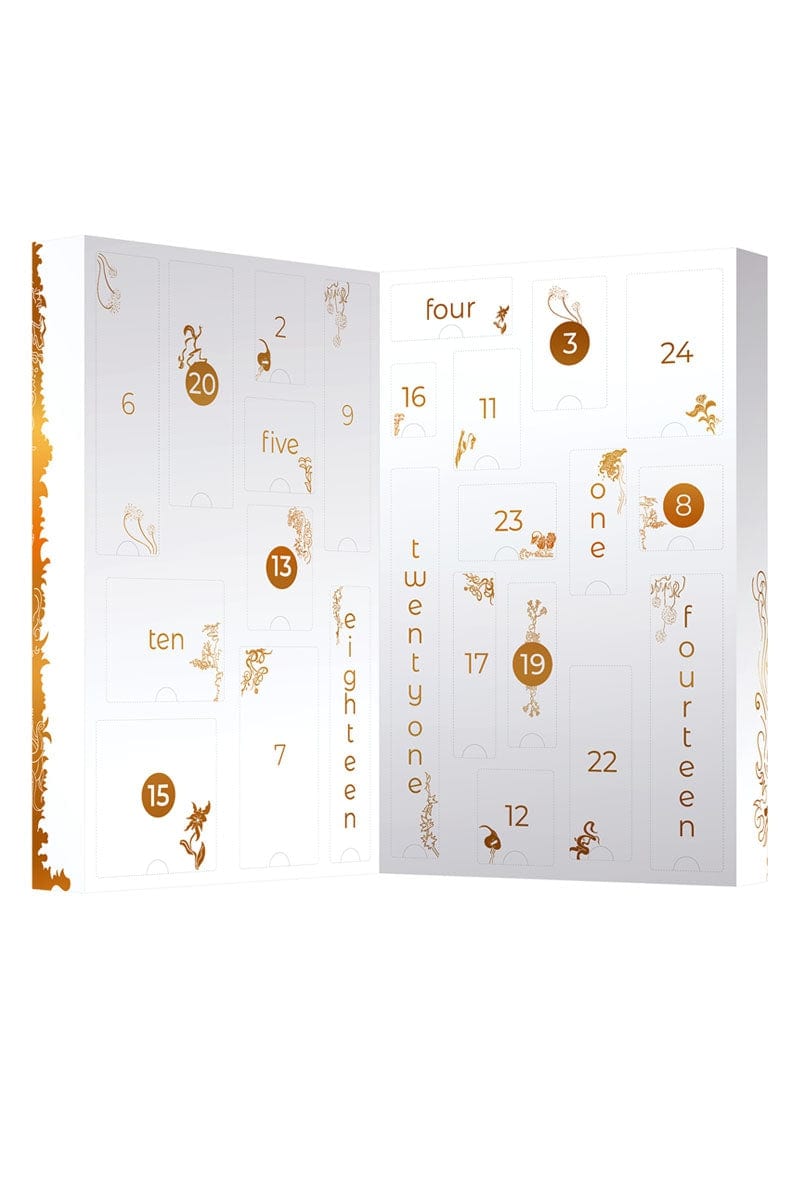Calendrier de l'Avent coquin Edition limitée 24 surprises - Adrien Lastic