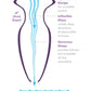 Plug anal XXL creux en verre transparent Mega Anal Gaper 10,1cm insérables - Pipedream